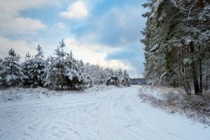 Snow Covered Road and Trees