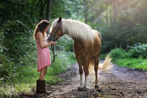 Comment trouver un cheval