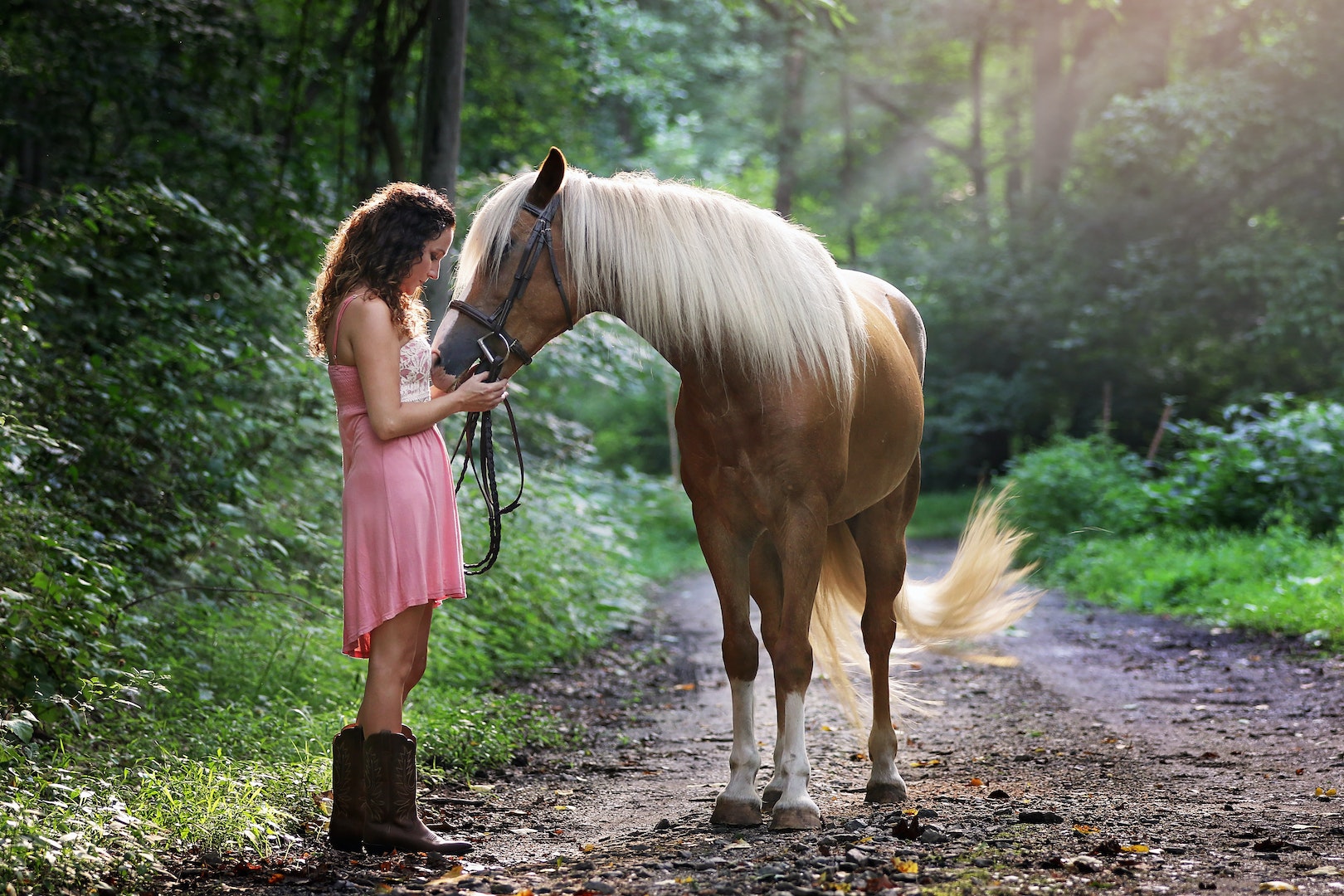 Comment trouver un cheval 